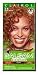 Clairol Balsam Color #71 Honey Blonde Kit