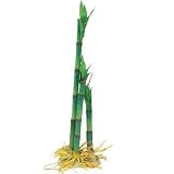 TETRA SILK Water Wonders ASIA BAMBOO TRIO X-LARGE