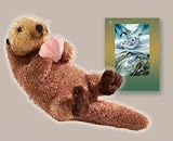 Plush Morro Sea Otter 12