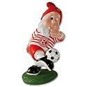 Fortuna Düsseldorf Gartenzwerg