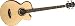 Musical Instruments : Luna Muse Acoustic/Electric Bass