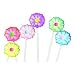 DAISY ASSORTED COLOR LOLLIPOPS