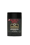 Burt's Bees Men's Deodorant, 2.6-Ounce Units (Pack of 3)