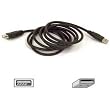 Belkin F3U134B06 Pro Series 6-Foot USB Extension Cable
