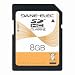 Dane-Elec 8 GB Class 4 SDHC Flash Memory Card DA-SD-8192-R
