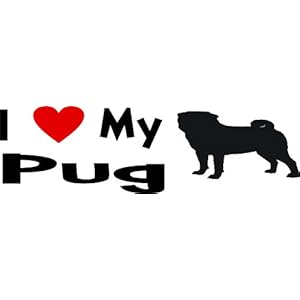 info baby+pug