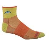 Darn Tough Vermont 1/4 Sock Mesh 1493 Athletic Socks