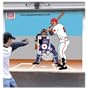 Single Garage Door Baseball Target