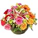 Lilies - Power Flowers