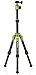 MeFOTO Classic Aluminum Daytrip Travel Tripod Kit - Green (A0320Q00G)