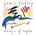 Wings of Light