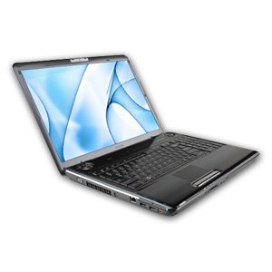 Childrens Toyshop  PC Hardware : Toshiba Satellite P305D-S8834 17-inch Laptop (2.0 GHz AMD Turion X2 RM-70 Processor, 4 GB RAM, 250 GB Hard Drive, DVD Drive, Vista Premium) Black
