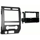 99 5822as 2009-2010 Ford F 150 Single Din Stereo Installation Kit-Platinum Ash Satin 