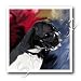 boxer41 - Black White Boxer 10x10 Iron On Heat Transfer
