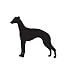 Hound Dog Pet Whippet Car Truck Vehicle Bumper Helmet Decal Sticker Wall Art Laptop Design Skin Stickers