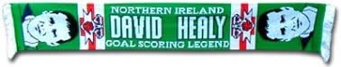 Northern Ireland & David Healy Scarf