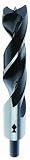 Fish Model 1201500 Chrome Vanadium Brad Point Drill Bit, 15mm