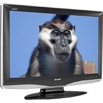 Sharp Aquos LC26D40U 26-Inch LCD HDTV