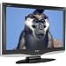 Sharp Aquos LC26D40U 26-Inch LCD HDTV