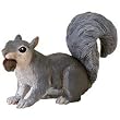 FOREST GREY SQUIRREL