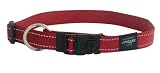 Rogz Reflective Dog Collar