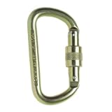 DMM 10mm Equal D Screwgate Steel Carabiner