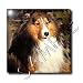 Dogs Sable Border Collies - Sable Border Collie - Tiles