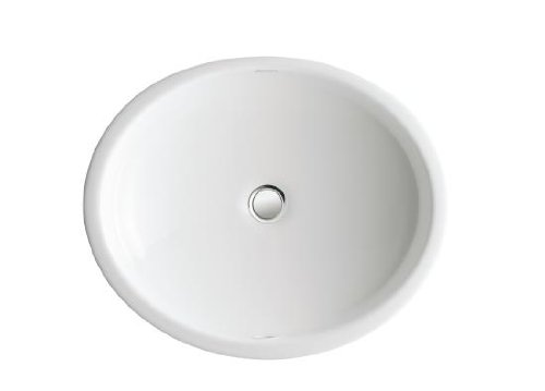 KOHLER K-2874-0 Canvas Cast Iron Lavatory, White