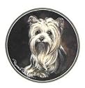 Yorkie Yorkshire Terrier Set of 4 Stone Coasters New Gift
