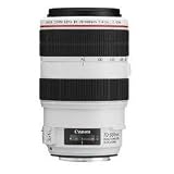 Canon EFレンズ EF70-300mm F4-5.6L IS USM ズームレンズ 望遠