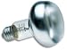 75 Watt Repti - Bask Inc Day Bulb (SL-75)