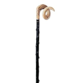 Curly Ram's Horn Crook by Orvis