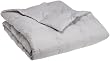 Pike Street King Down Comforter, Grey