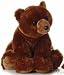 Plush Honey Bear 18