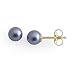 Akoya Pearl Earrings in 14K Yellow Gold