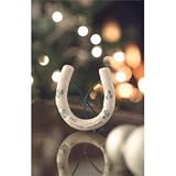 BELLEEK GOOD LUCK ORNAMENT - GOOD LUCK ORNAMENT, BELLEEK COLLECTION