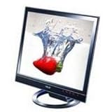 20-inch LCD Panel Black