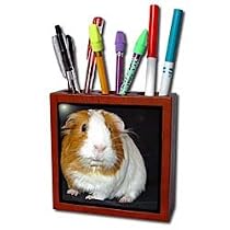 Guinea Pig - Guinea Pig - Tile Pen Holders-5 inch tile pen holder