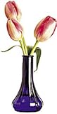 Bud Vase, 12 Unit / Case