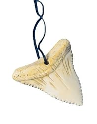 Shark Tooth Australia New Zealand Surfer Party Necklace