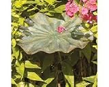 Lily Leaf Bird Bath II