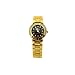 Charlie Jill Simply Elegant Women Watch in Goldtone Brush Stainless Steel Bracelet