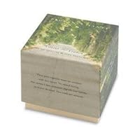 Provence Sante Linden Gift Soap