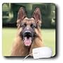 Dogs German Shepherd - German Shepherd - Mouse Pads