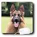 Dogs German Shepherd - German Shepherd - Mouse Pads