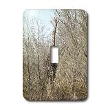 Angelique Cajams Safari Giraffes - Kruger Giraffe Full view - Light Switch Covers - single toggle switch