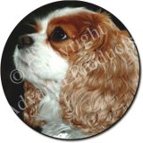BLENHEIM KING CHARLES Fridge Magenet