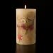 Rosy Rings Neroli Orange Flower Botanical Candle 4.5" x 9"