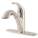 Price Pfister T534-7SS Parisa Kitchen Stainless Steel Sprayer & Body, Stainless Steel...