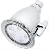Speakman Anystream 2000 Shower Head, Chrome